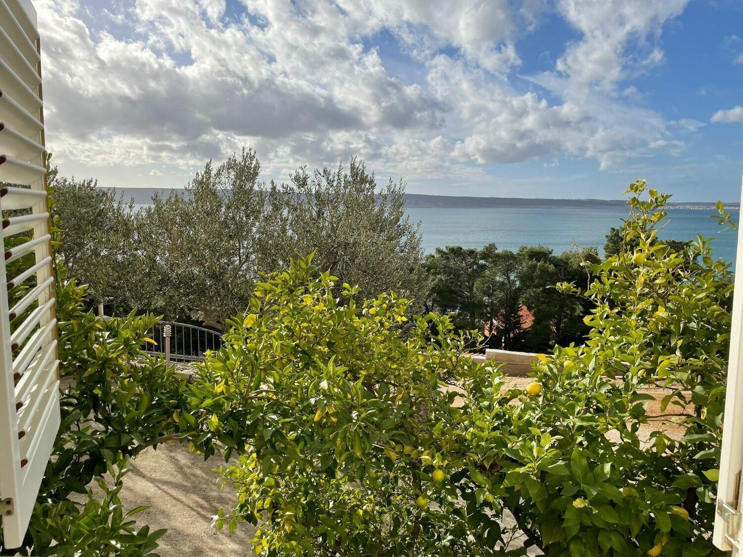 Apartment Ante Starigrad Paklenica Buitenkant foto